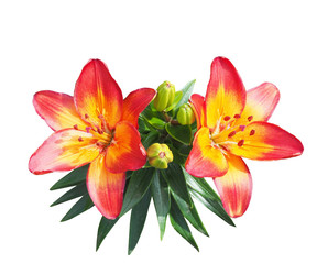 Plakat Red-yellow beautiful lily bouquet on a white background