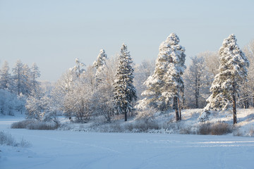 Winter at the Priory Park. Gatchina, Russia