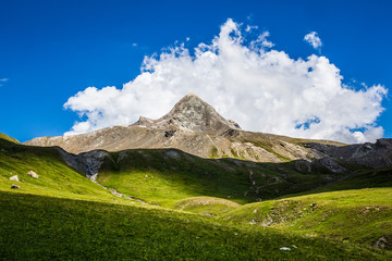 Sommet du Pain de Sucre, Queyras