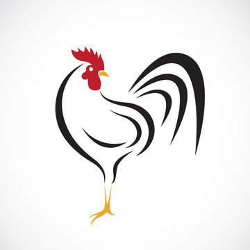 Vector of cock design on white background.