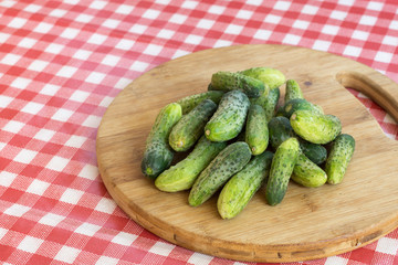 Fresh pickles on the wooden board