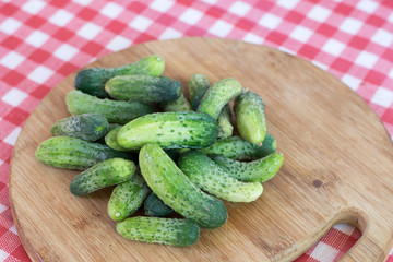 Fresh pickles on the wooden board