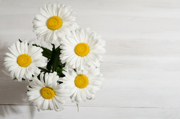 Obraz premium bouquet of daisies on white wooden table