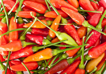 Hot Red Chillies