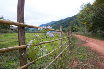 Fototapeta na wymiar Red dirt rough pathway road along bamboo fence lead to farm with mountain view, green environment and sky
