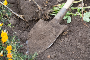 Shovel in the ground