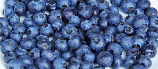 Harvest ripe blueberries