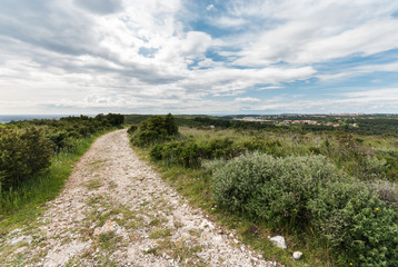 Cape Kamenjak, Istra, Croatia