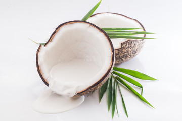 Coconuts