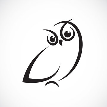 Vector of owl design on white background. Birds. Animals.