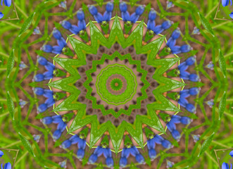 Kaleidoscope mandala from flowers in blue and green colors