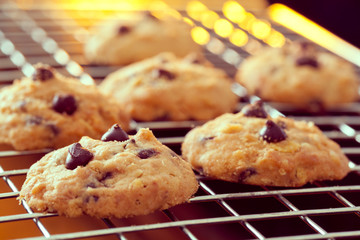 Chocolate cookies
