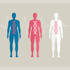 Vector Illustration of Human DNA - 117059278