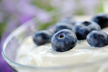 Dessert mit Heidelbeeren