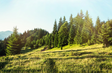 Majestic sunset in the mountains landscape. Carpathian mountins, Ukraine.