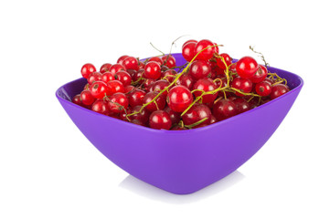 Red currants in a plate on a white background