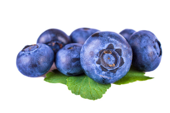 Fresh blueberries with leaves isolated on white background