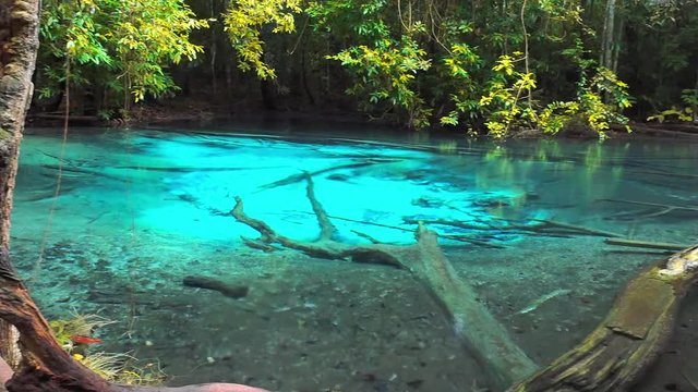 Amazing and beautiful natural blue pond in middle of forest