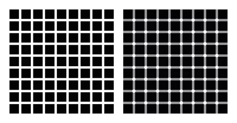 Hermann-Gitter und funkelnde Gitterillusion. In der linken Abbildung an den Schnittpunkten wahrgenommene graue Kleckse. In der rechten Abbildung scheinen dunkle Punkte schnell zu erscheinen und zu verschwinden, also zu funkeln. © Peter Hermes Furian