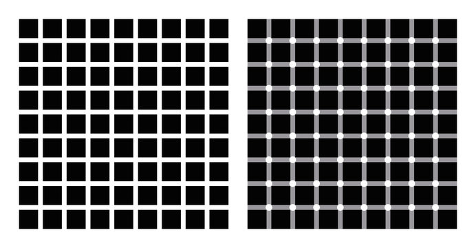 Hermann grid and scintillating grid illusion. In the left figure grey blobs perceived at the intersections. In the right figure dark dots seem to appear and disappear rapidly, hence scintillating.