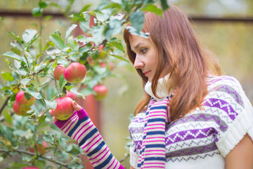 Pretty woman with autumn apple crop near tree