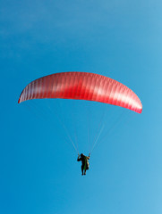 Paraglider