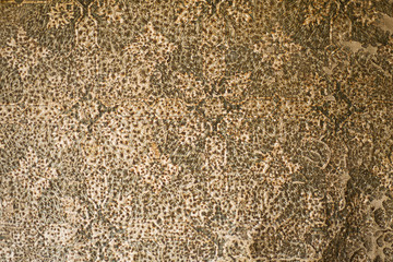 Old decaying carpet