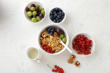 breakfast cereals in bowl with berries