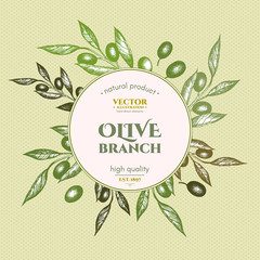 Olive branch design template