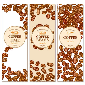Coffee beans banner background ink hand drawn vector
