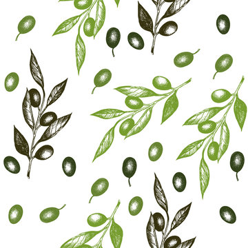 Olive branch seamless pattern vector