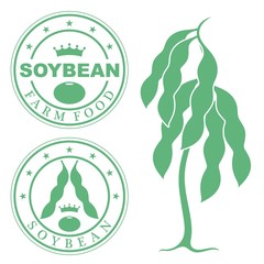 Soybean