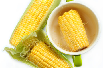 Corn is vegetable food.