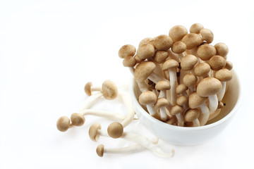 Shimeji is mushrooms.