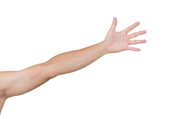 Man hands isolated on white background, clipping path