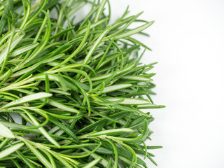  rosemary