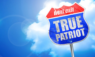 true patriot, 3D rendering, blue street sign