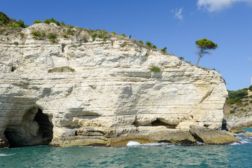 The coast of Gargano National park on Puglia