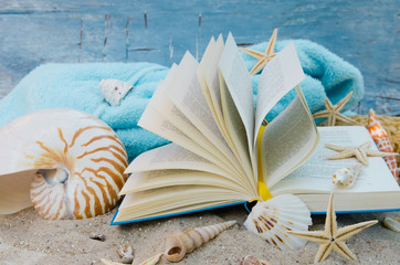 Auszeit, Entspannung, Glück, Ferien, Lesen, Schmökern im Urlaub: Traumurlaub an einem Karibischen...