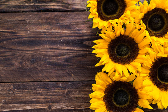 sunflowers heads on wooden background
