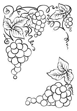 Frame of bunches of grapes/Vintage vector decoration for wine labels or wine list