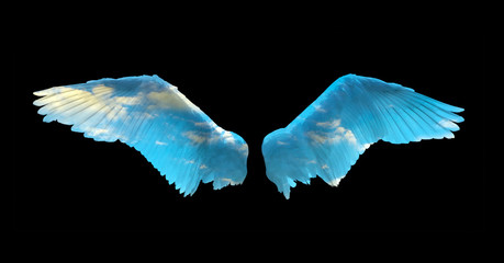 Angel wings isolated on black background and blue sky is visible