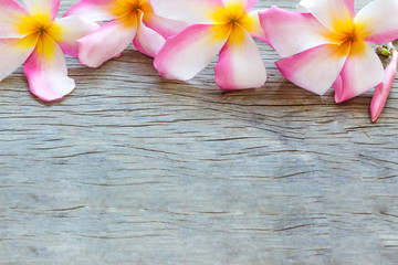 Fototapeta na wymiar Beautiful Plumeria (Frangipani) flowers on wooden background, with Copy space for text or product.