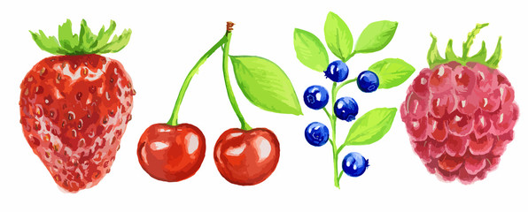 Watercolor berries set on white background. Fresh healthy set of different kind of berries as strawberry, blackberry, cherry and more.