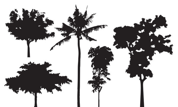 Set of five trees vector silhouette, black shadow forest shape isolated on white