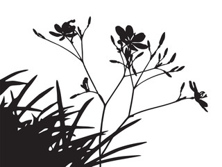 Set of flower trees vector silhouette, black shadow grass shape isolated on white, thin twig plant