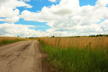 Dirt road in summer under blue sky