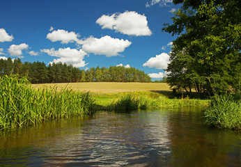 Fototapeta premium Summer landscape with wild river under blue sky