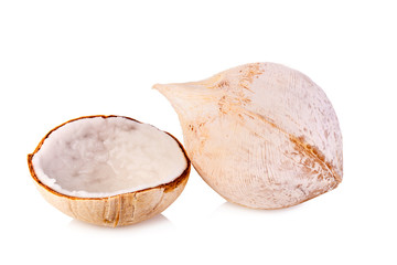 young coconut meat on white background