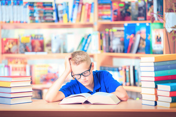 Kid  Reading Book, Pupil Learn Lesson and Dream, Education